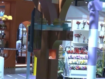 “剧透”来了 今年进博会有哪些特色和亮点？