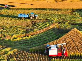 黑龙江：从“大粮仓”到“大厨房” 清晰走出价值升级之路